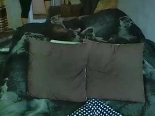 sex2 Live Webcam on CamSoda