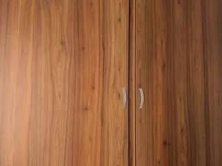 gigithunderfox webcam