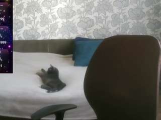 pamelapassion webcam