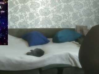 pamelapassion live cam profile