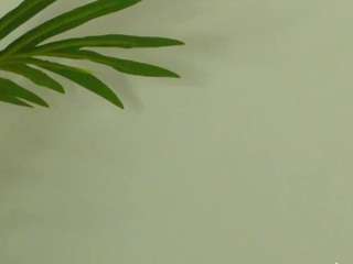 valery-swan webcam model