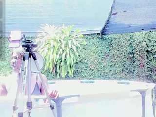 evonye Live Webcam on CamSoda