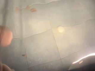 sophiekitty