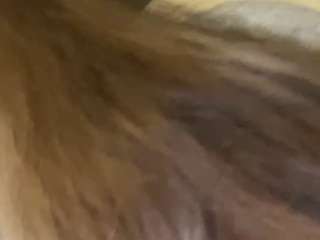 sophiekitty