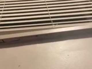 wetpussy98