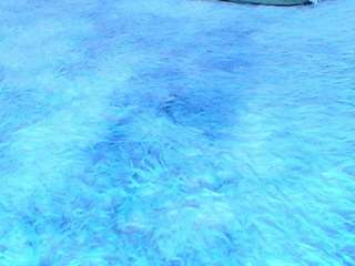 cristallrose69