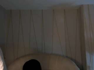 SussieCole