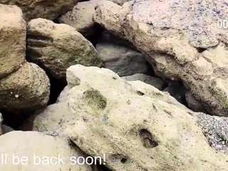 girl-ksenia live cam profile