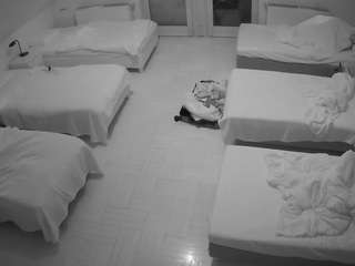 Hd, Sexwebcam, Sex, Pov, Perkytits, No smoking, No drinking, Julmodels hous..., webcam vibrater 7