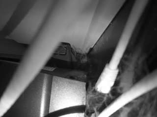 voyeurcam-laceme... Live Webcam on CamSoda