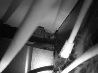 voyeurcam-lacemelacey-01