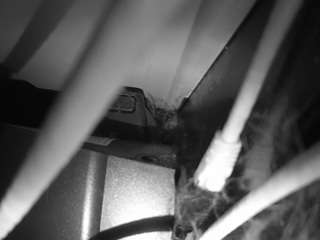 voyeurcam-laceme... Live Webcam on CamSoda