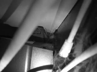 voyeurcam-lacemelacey-01