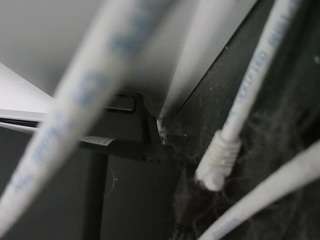 voyeurcam-lacemelacey-01