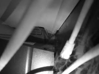 Hd, Voyeur, Sexwebcam, Pov, No drinking, Hidden cam, Hidden, Flashing, Flas..., Live Webcam Bj 8