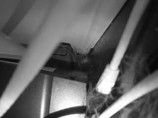 voyeurcam-laceme... Live Webcam on CamSoda