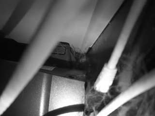 voyeurcam-lacemelacey-01