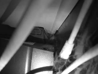 Hd, Voyeur, Sexwebcam, Pov, No drinking, Hidden cam, Hidden, Flashing, Flas..., Nude Cam To Cam Chat 4