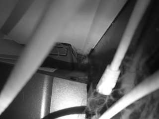 Hd, Voyeur, Sexwebcam, Pov, No drinking, Hidden cam, Hidden, Flashing, Flas..., Mature Live Webcam Xham 6