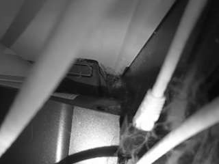 voyeurcam-lacemelacey-01