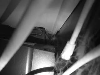 Hd, Voyeur, Sexwebcam, Pov, No drinking, Hidden cam, Hidden, Flashing, Flas..., Pov Felatio 6