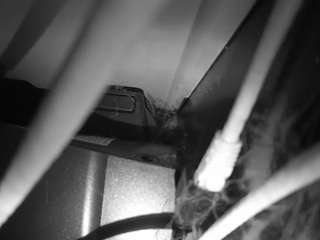 voyeurcam-lacemelacey-01