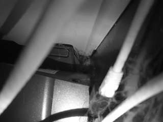 voyeurcam-lacemelacey-01
