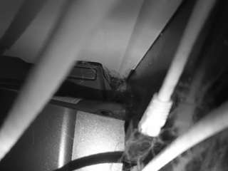 Hd, Voyeur, Sexwebcam, Pov, No drinking, Hidden cam, Hidden, Flashing, Flas..., Milf Web 6