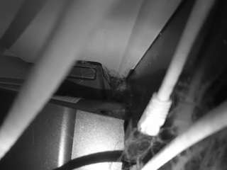 Hd, Voyeur, Sexwebcam, Pov, No drinking, Hidden cam, Hidden, Flashing, Flas..., Live Webcam Dildo 2