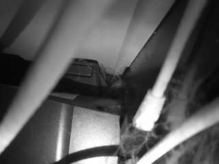 voyeurcam-lacemelacey-01 webcam model