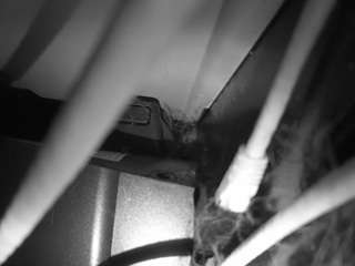 Hd, Voyeur, Sexwebcam, Pov, No drinking, Hidden cam, Hidden, Flashing, Flas..., Wev Cam Porno 8