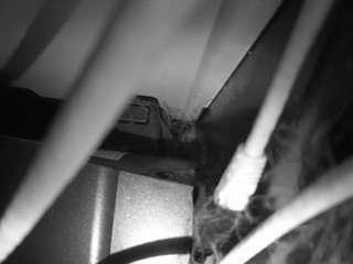 Hd, Voyeur, Sexwebcam, Pov, No drinking, Hidden cam, Hidden, Flashing, Flas..., webcam dance 7