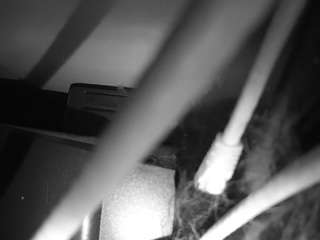voyeurcam-laceme... Live Webcam on CamSoda