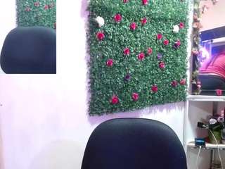 peach-moore webcam