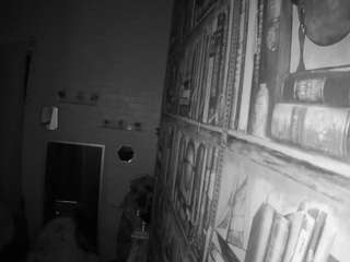 voyeurcam-hornyhostel-03
