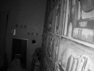 voyeurcam-hornyhostel-03