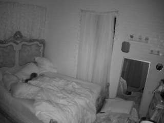 voyeurcam hornyhostel 03