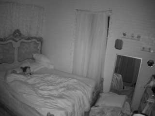voyeurcam hornyhostel 03