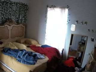 voyeurcam hornyhostel 03