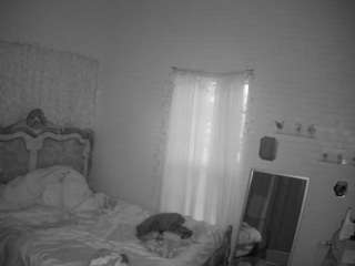 voyeurcam-hornyh... Live Webcam on CamSoda