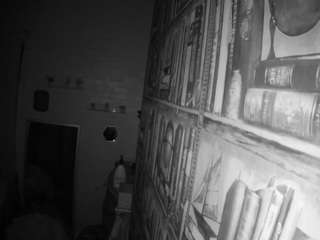 voyeurcam-hornyhostel-03