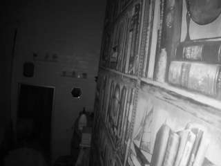 voyeurcam-hornyhostel-03