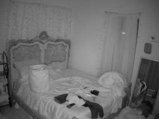 voyeurcam-hornyhostel-03