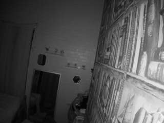 voyeurcam hornyhostel 03