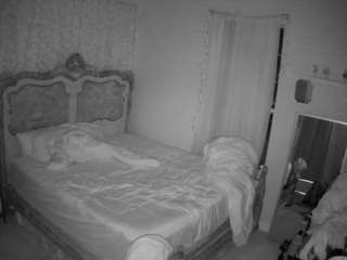voyeurcam hornyhostel 03