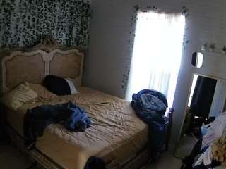 voyeurcam-hornyh... Live Webcam on CamSoda