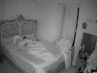 voyeurcam-hornyhostel-03