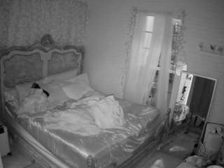 voyeurcam hornyhostel 03