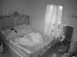 voyeurcam hornyhostel 03