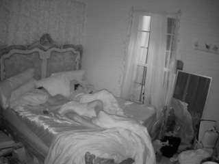 voyeurcam-hornyhostel-03 webcam